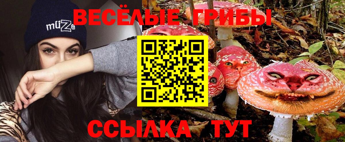 Галлюциногенные грибы Psilocybine cubensis  Вход с VPN  Кинешма  Галлюциногенные грибы GOLDEN TEACHER 