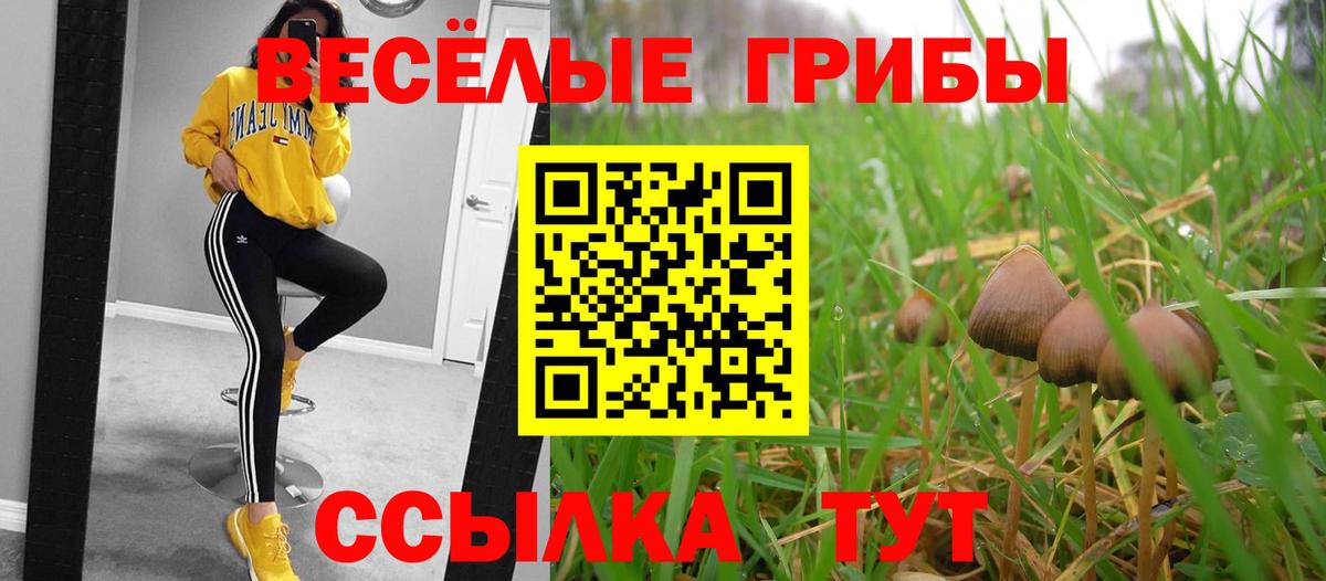 Галлюциногенные грибы Magic Shrooms Кинешма